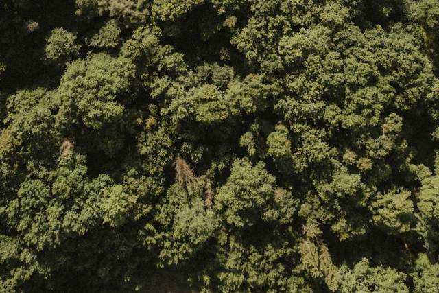 DRONE SHOT OF A CEREMONY