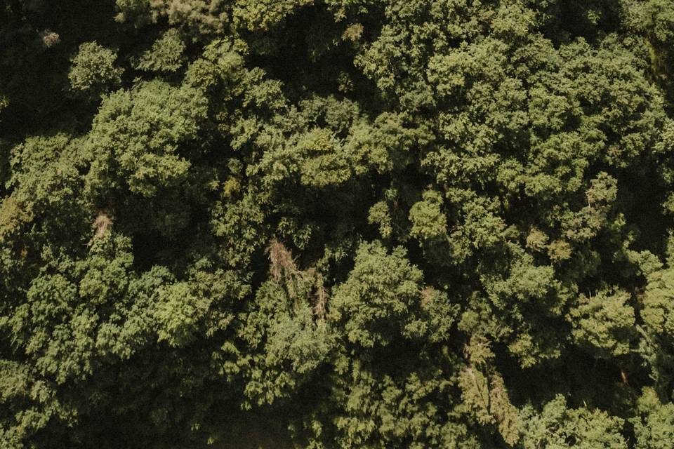 DRONE SHOT OF A CEREMONY