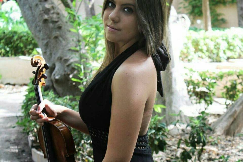 Violín