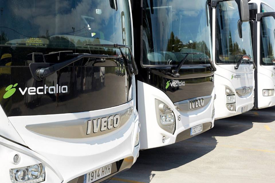 Vectalia Tours