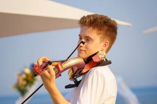 Violin ukra