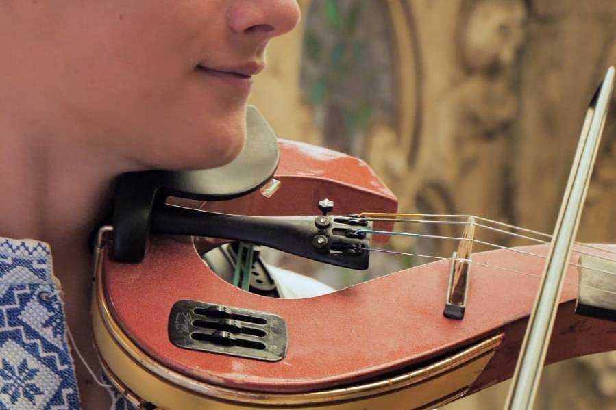 Close-up violin