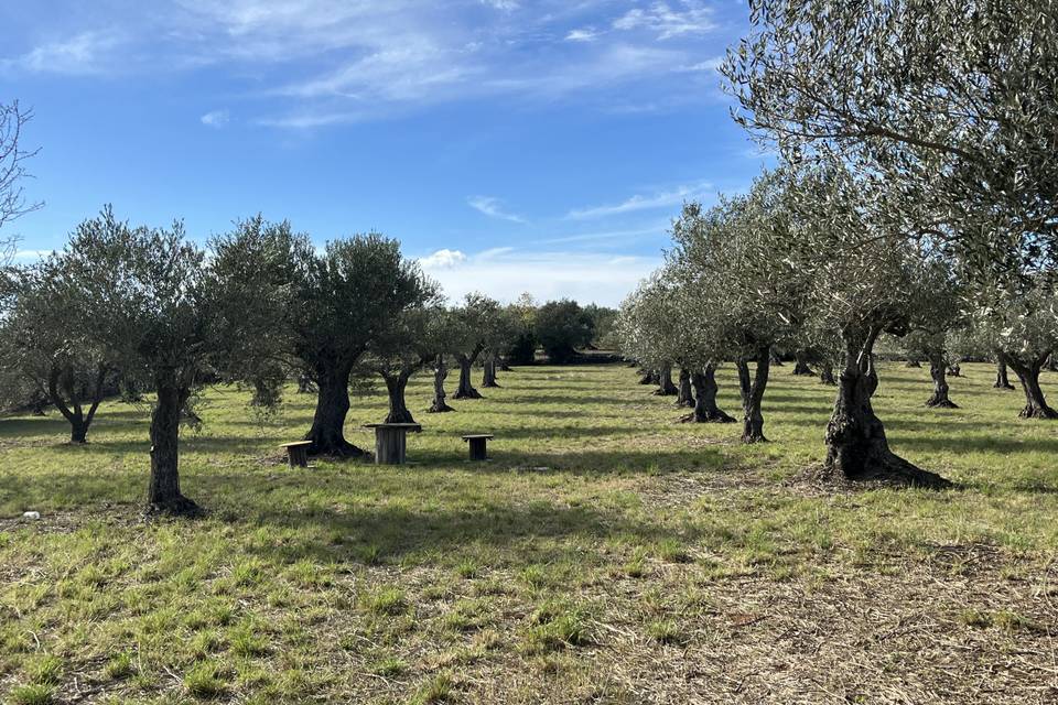 La finca