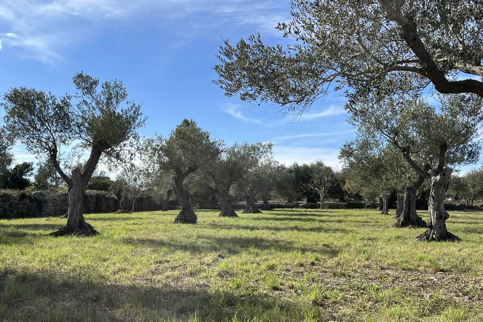 La finca