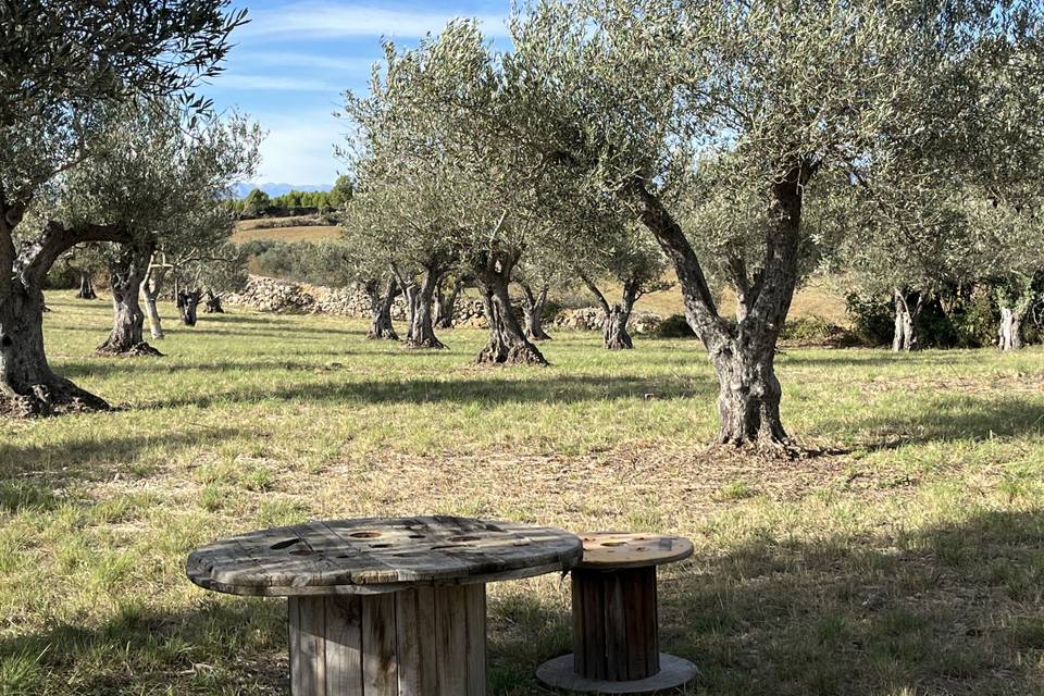 La finca