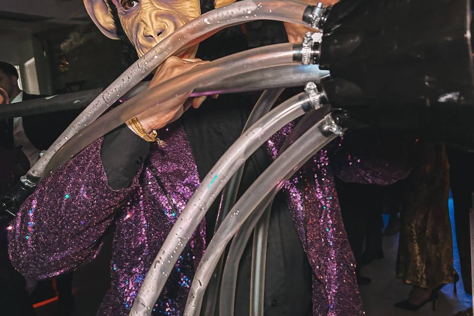 Pulpo