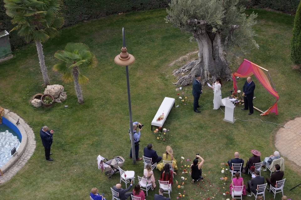 Sentimiento y emoción