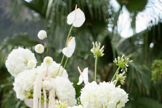 Flowers & Romance