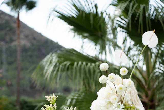 Decoration by la plantacion