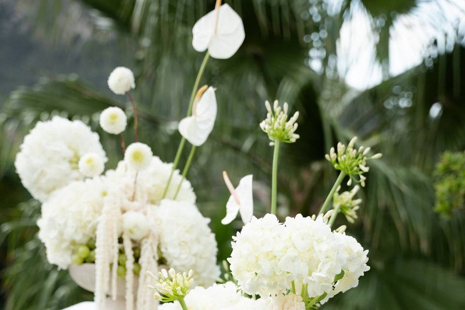 Flowers & Romance