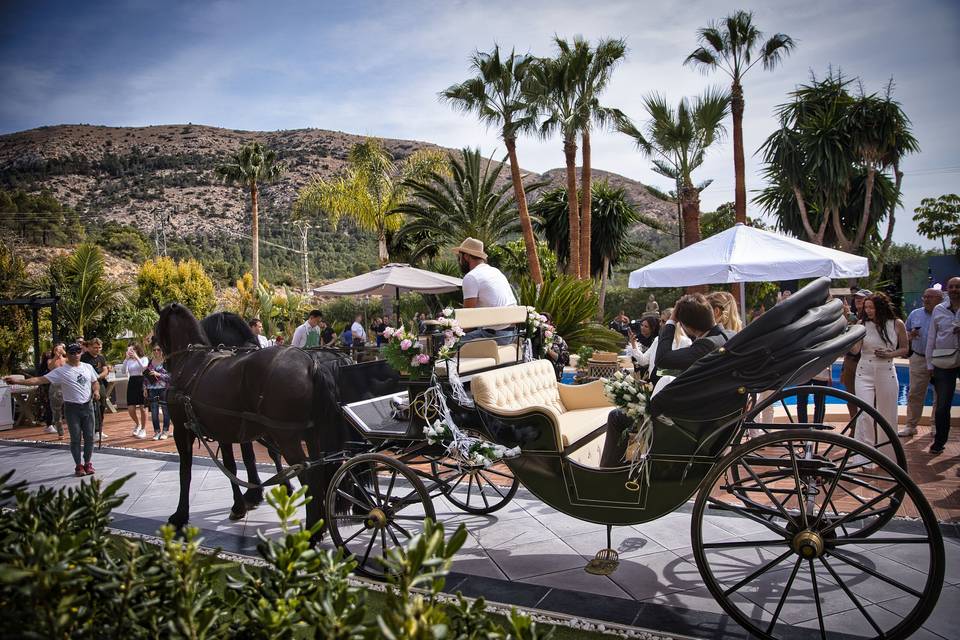 Coches de alquiler