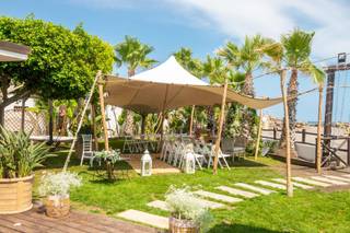 Avocado Events