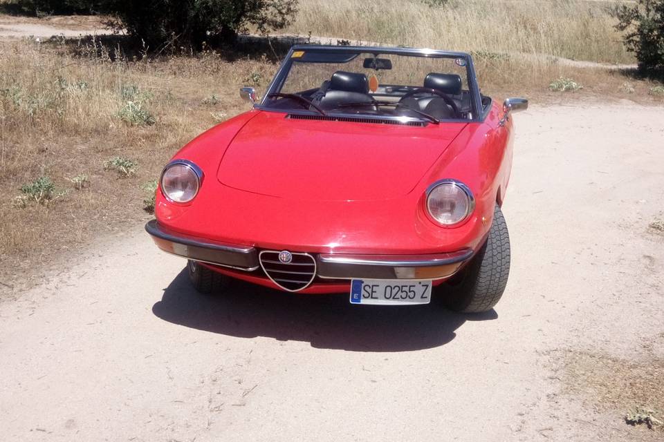 Alfa Spider