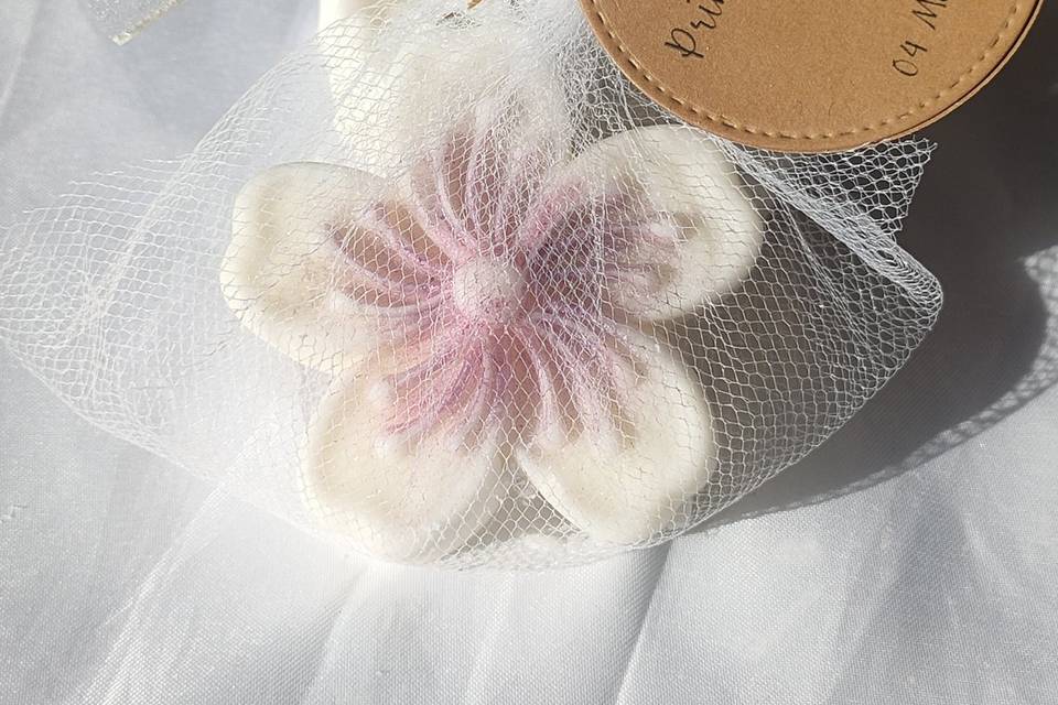 Vela Sakura
