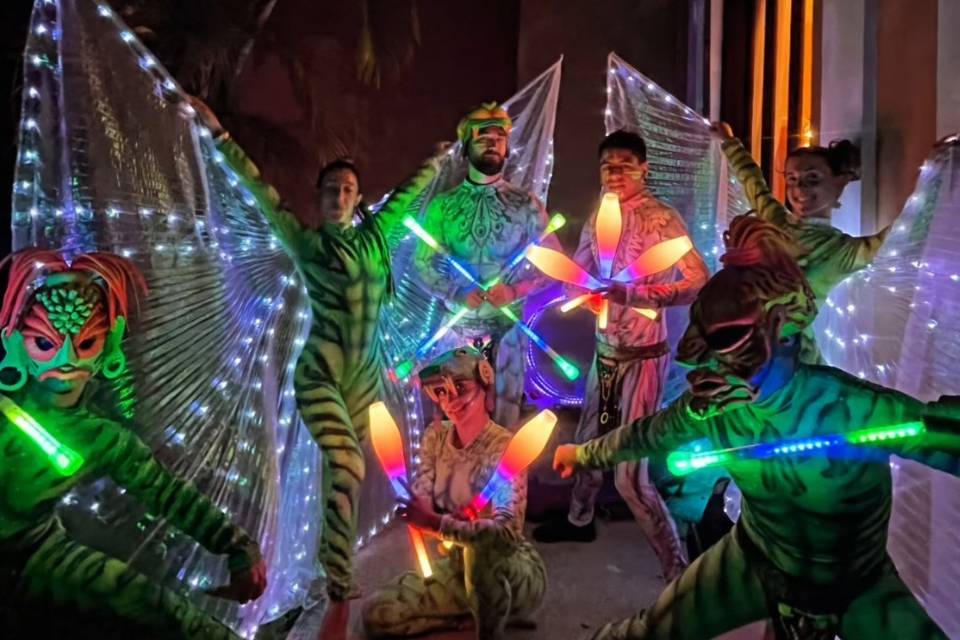 Leds party