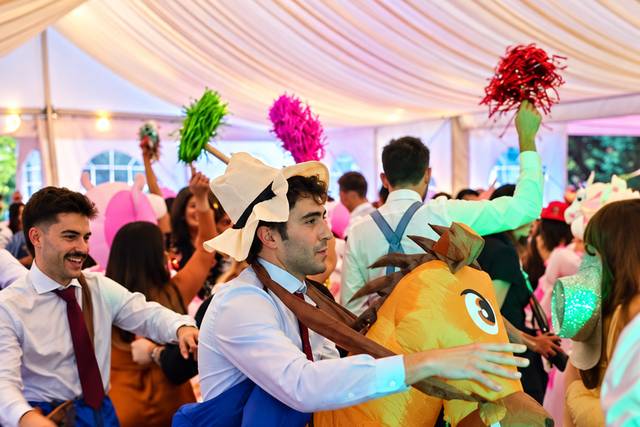 Boda C&D