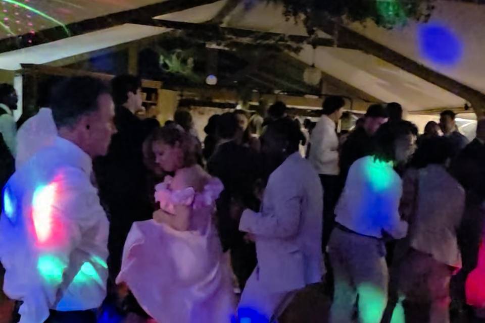 Boda Amalia y Manuel 2