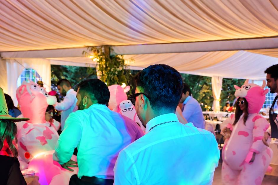 Boda C&D