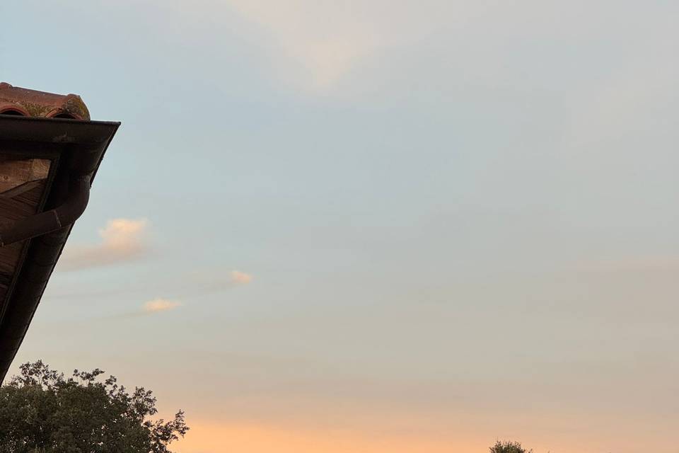 E&J 2025