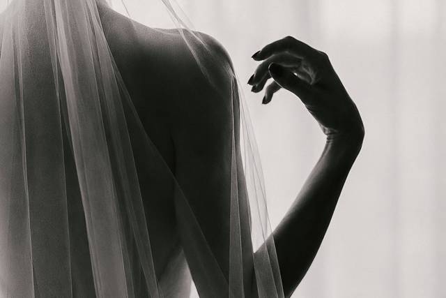 Verbena Fotografía