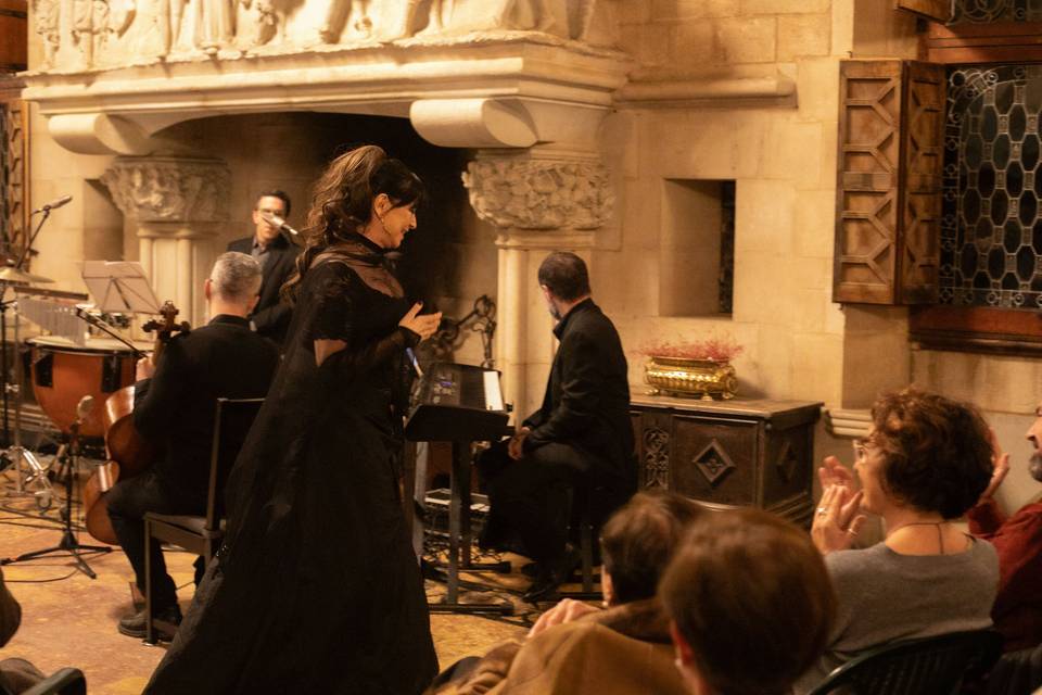 Concierto castillo