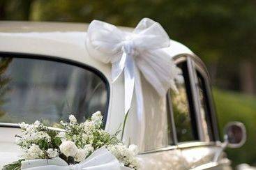 Alquiler de coche