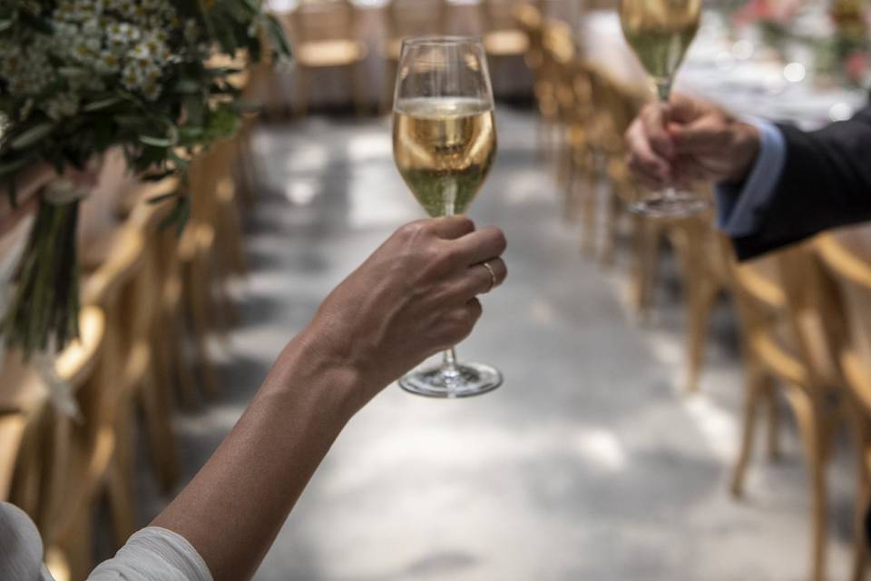 Brindis