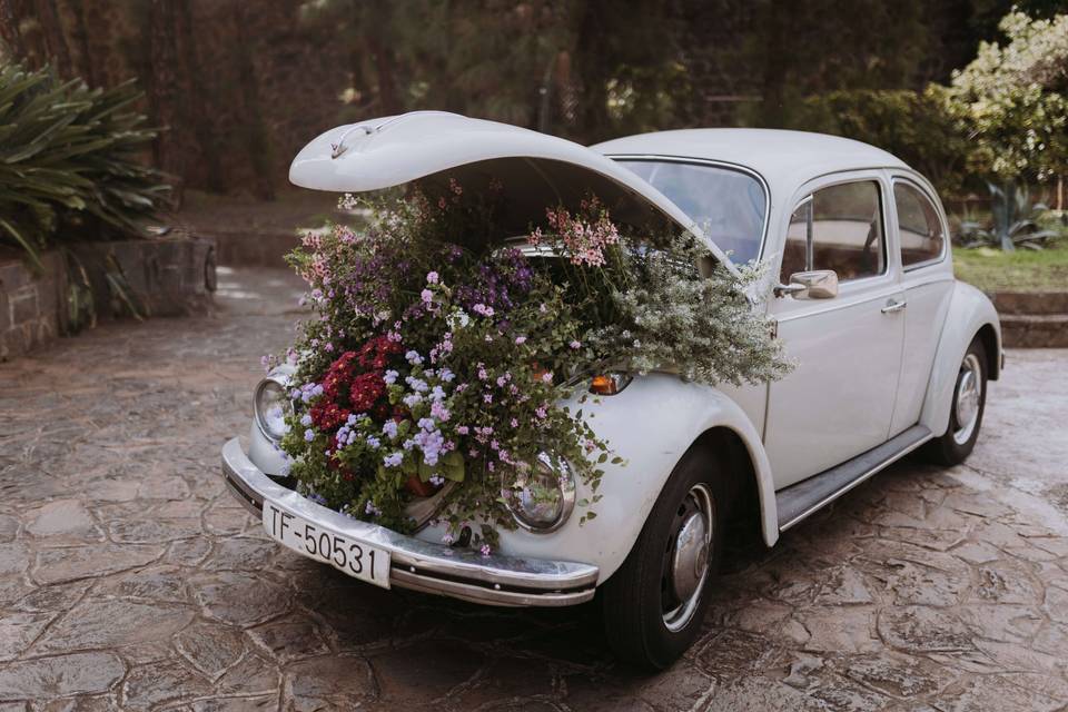 Coche nupcial