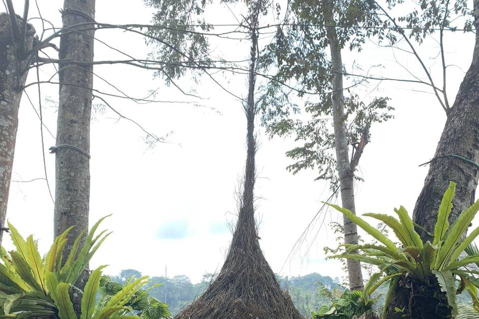 Luna de miel en Bali