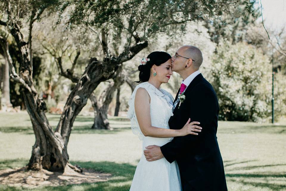 Novios besos
