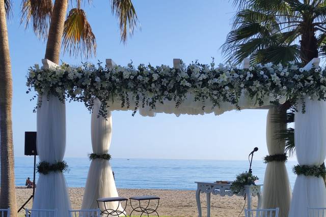 Ceremonia Playa