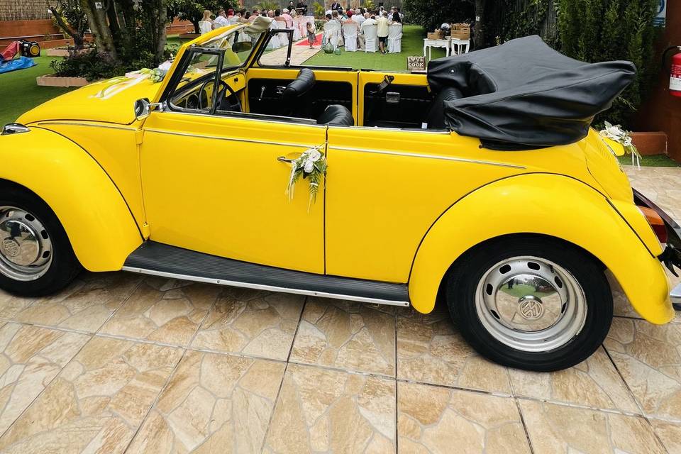 Entrada coche