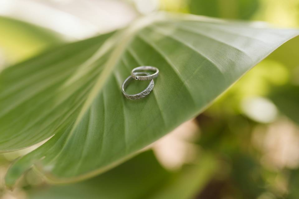 Anillos