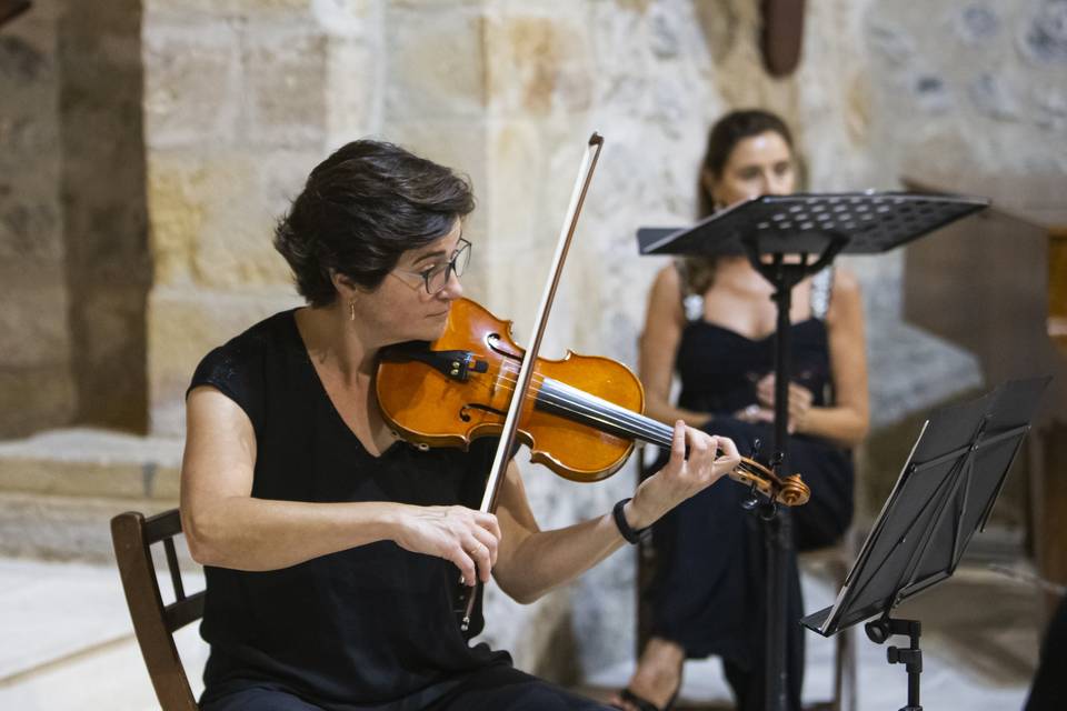 Violín