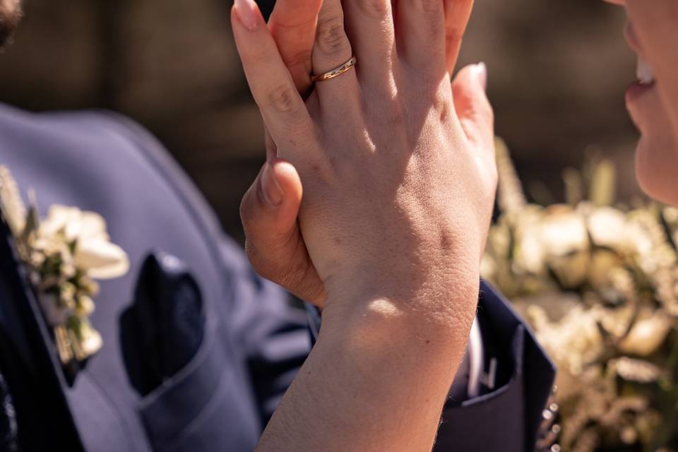 Anillos