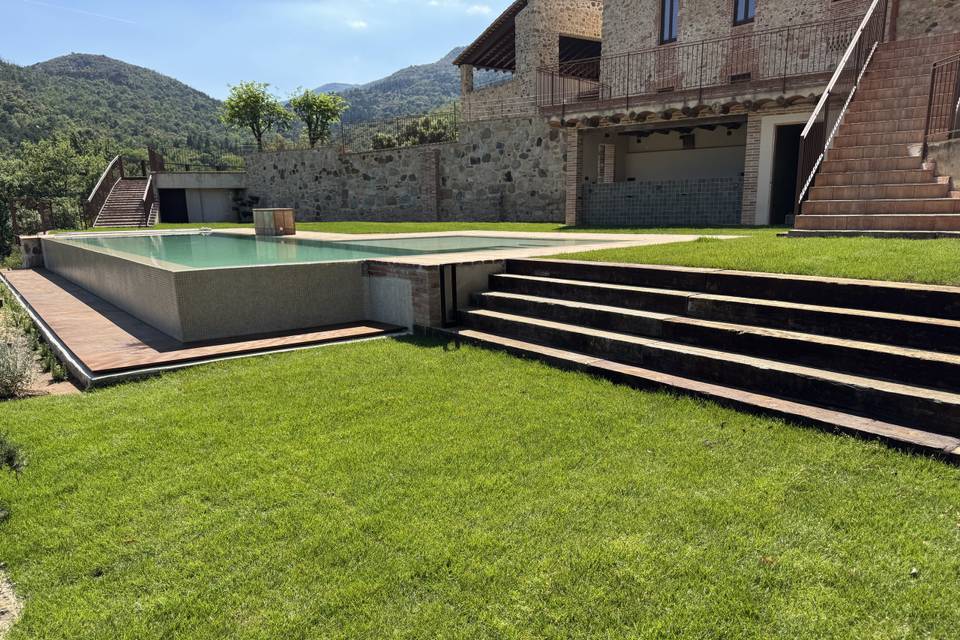 Verde y Belleza
