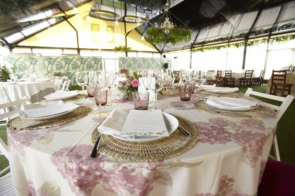 Gran carpa Climatizada