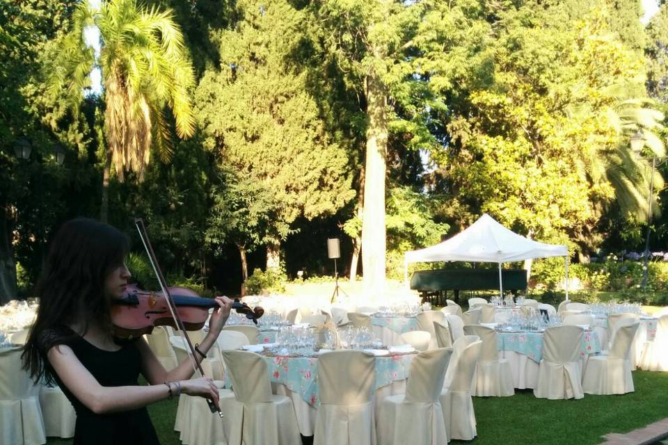 Bodas civiles