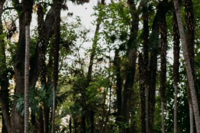 By Alejandro Aguilar