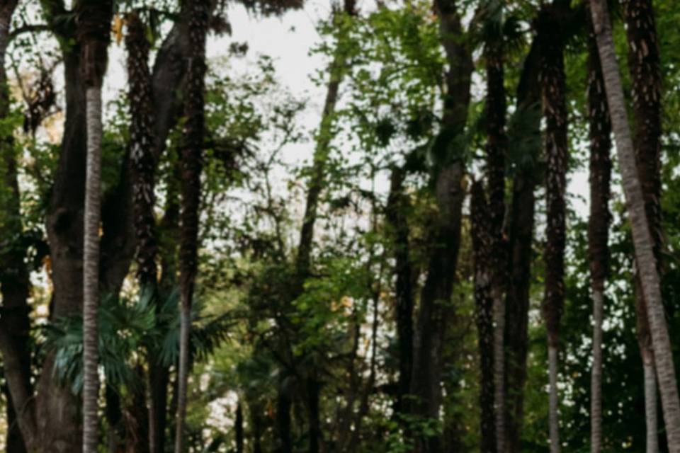 By Alejandro Aguilar