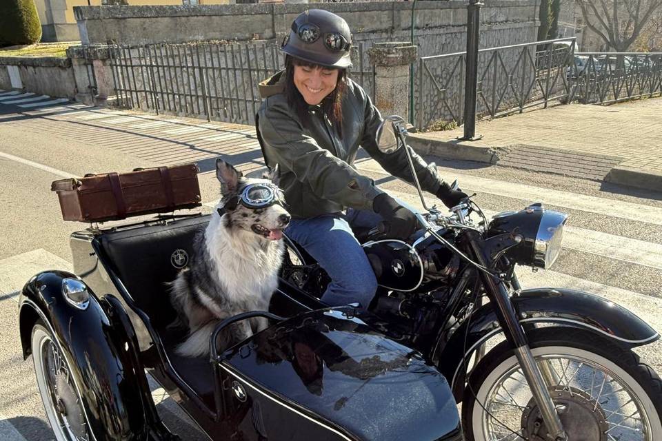 Sidecar Perruno