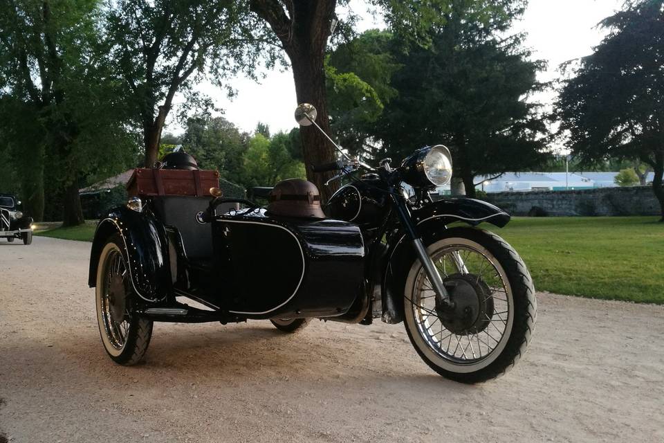 David - Sidecar Vintage