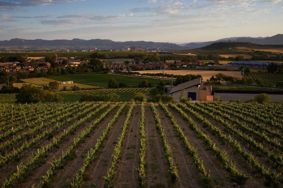 Entorno bodega