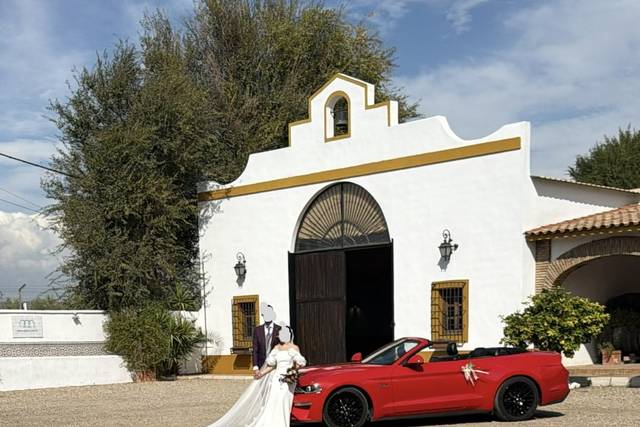 Mustang GT