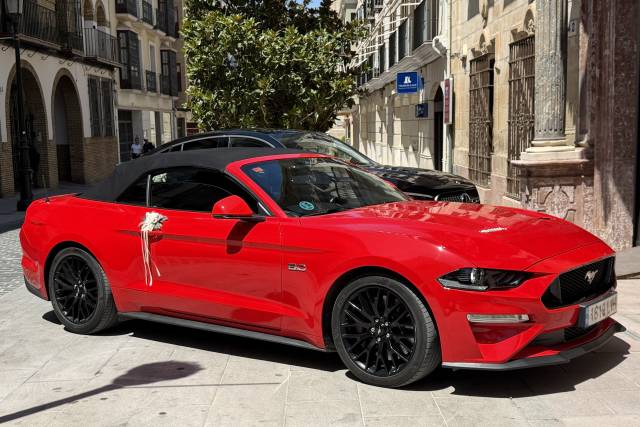 Mustang Gt