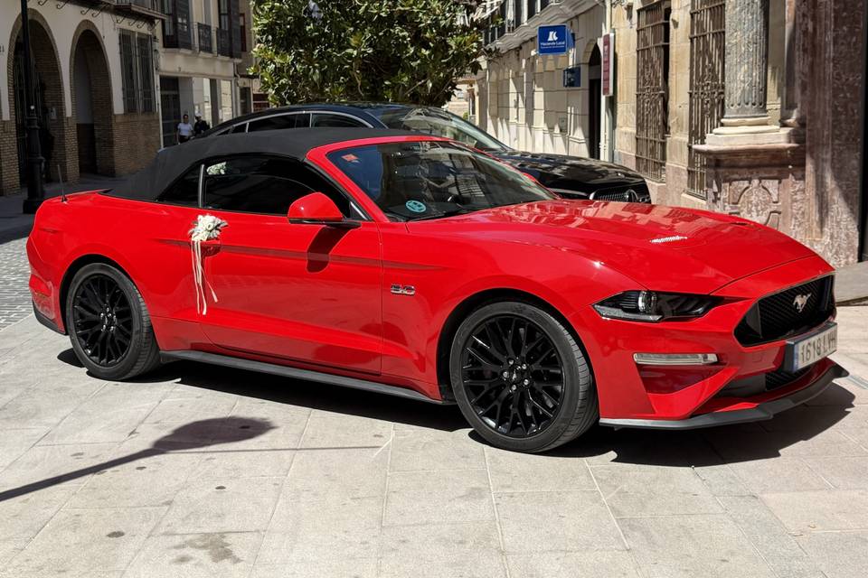 Mustang Gt