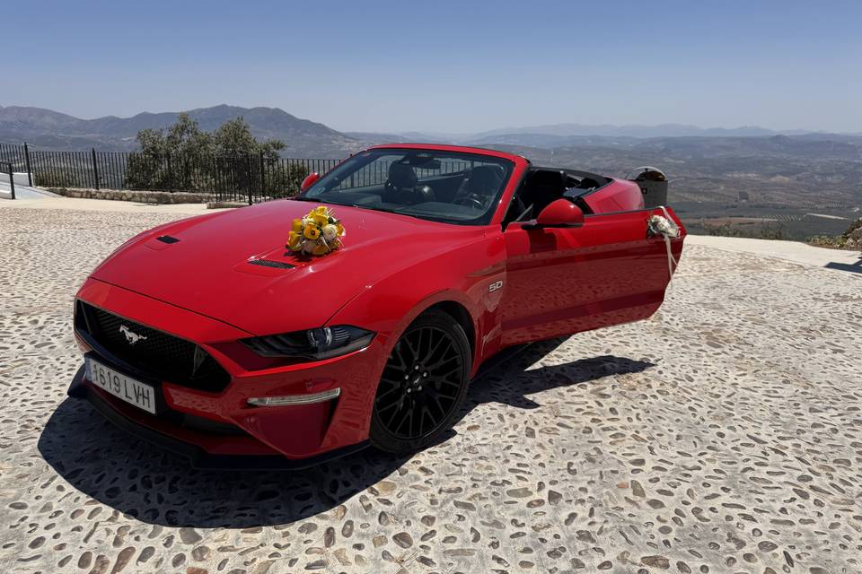 Mustang Gt