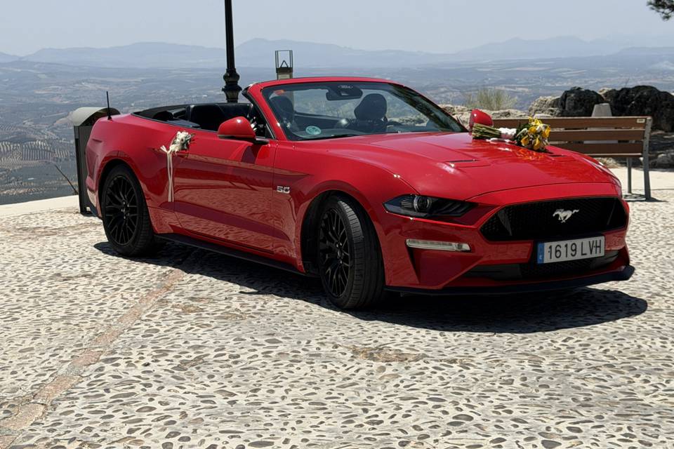 Mustang Gt