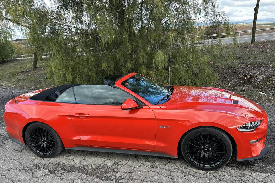 Mustang Gt