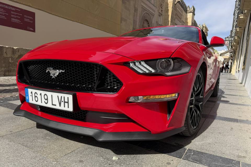 Mustang GT